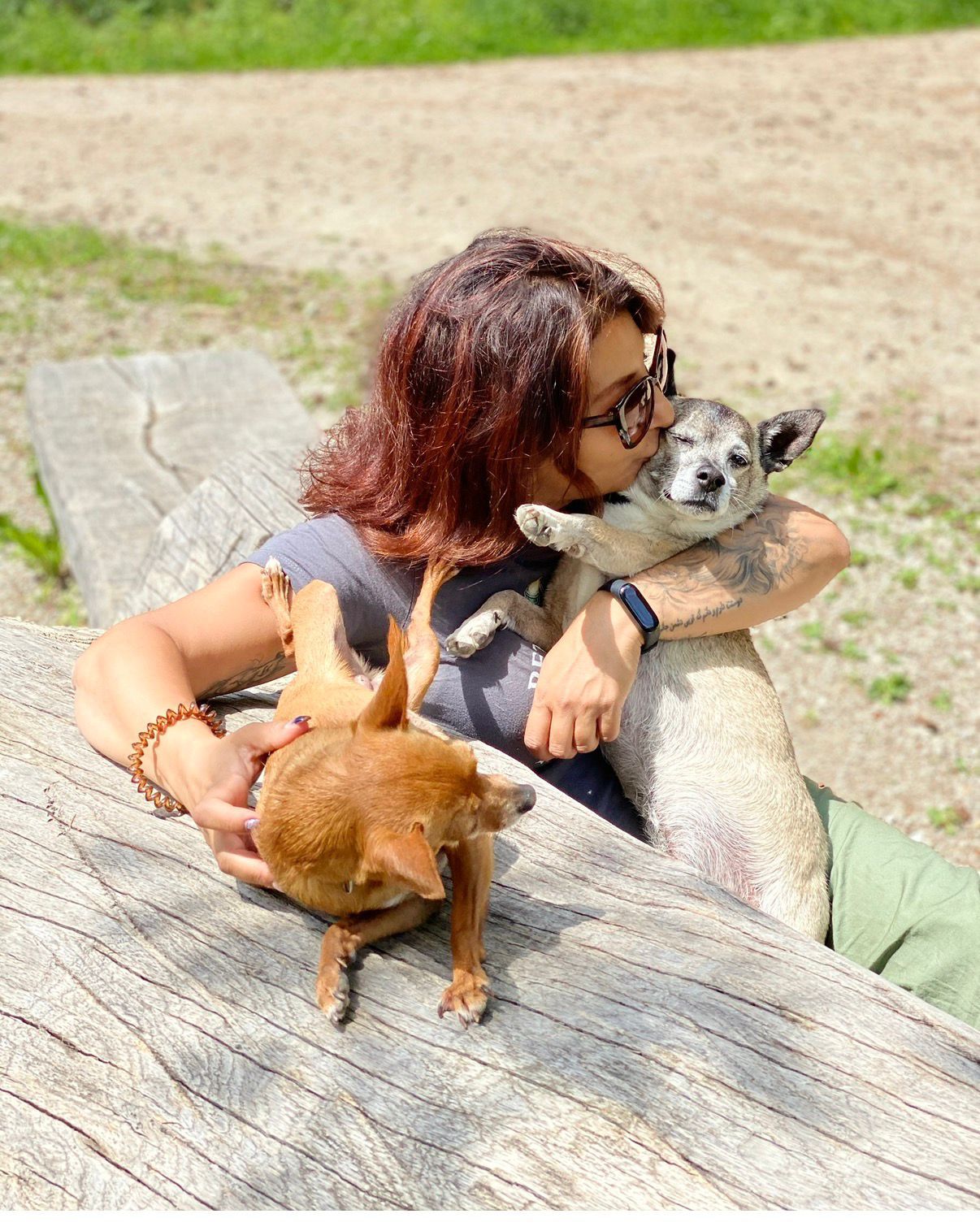 Strays in need Serbia Arlene