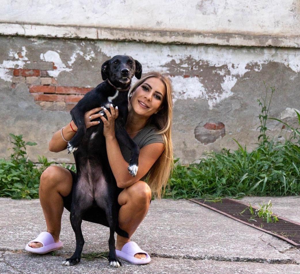 Strays in need Serbia Danijela