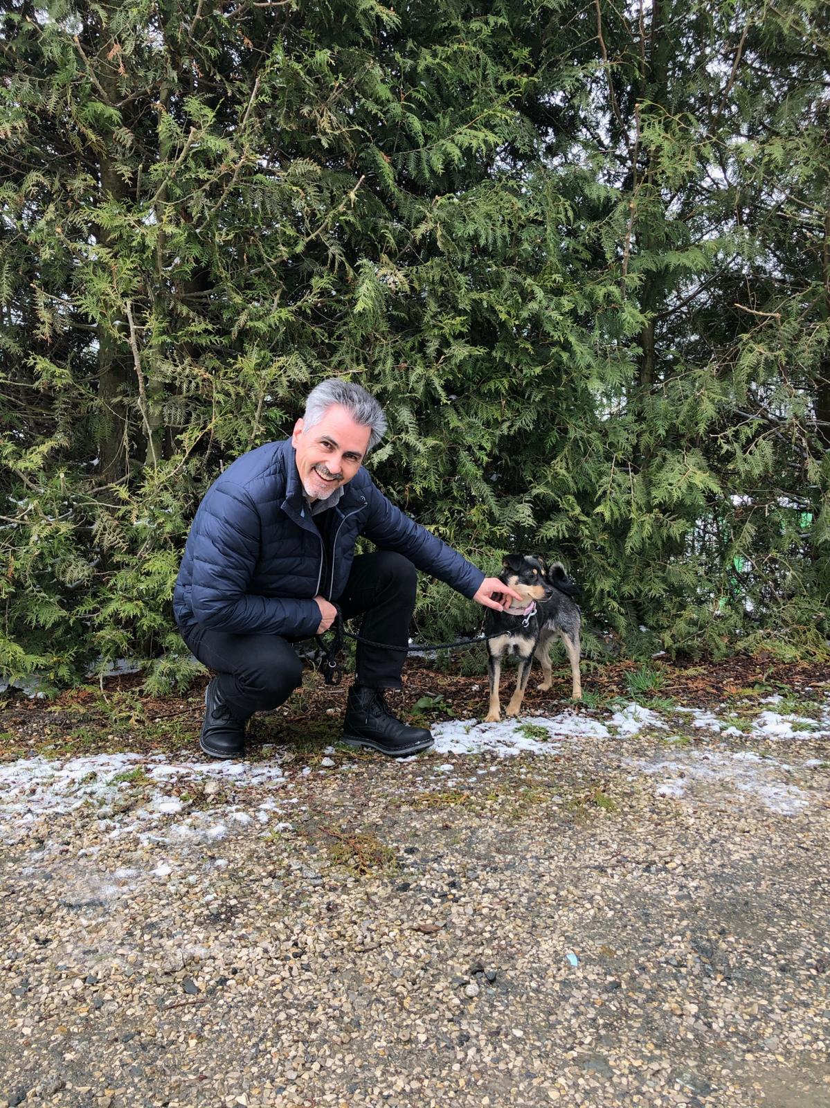 Strays in need Serbia Fredy